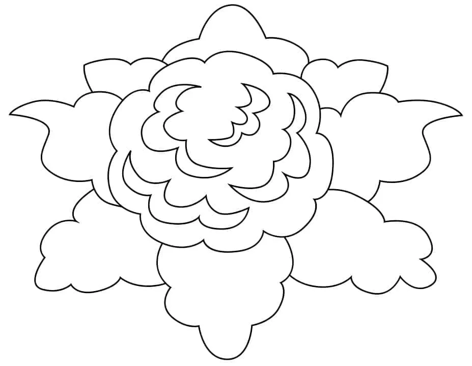 Chou Fleur 13